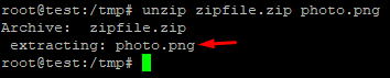 unzip a specific file from zip in linux